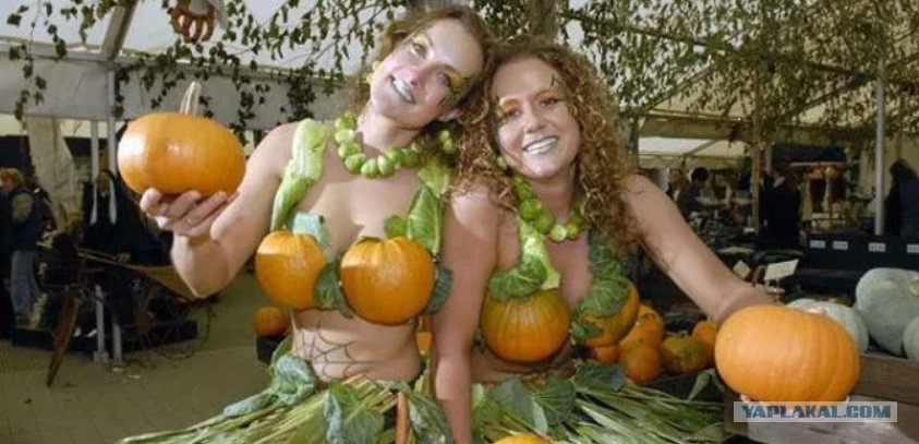 Pumpkin Tits