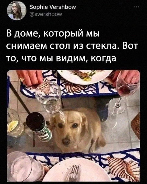 Немного картинок для настроения - 127