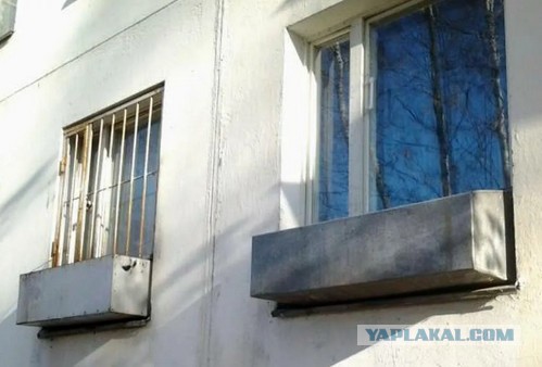 Устал от дармоедов