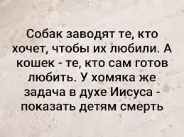 Хорошие новости