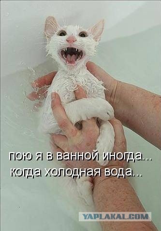 Крылья, крылья... Главное хвост!