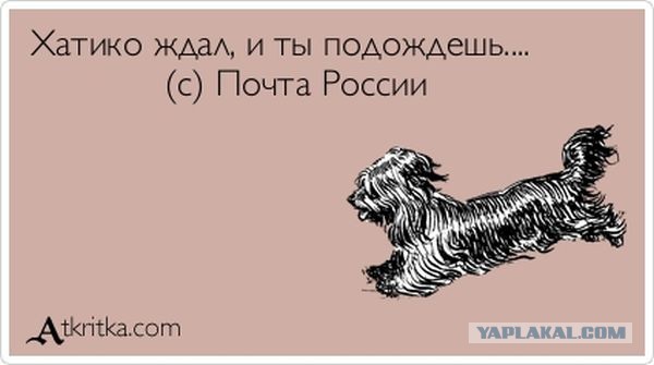И снова: Почта России, какие приятные вежливые люди!