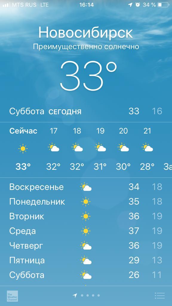 Погода сегодня в СПб