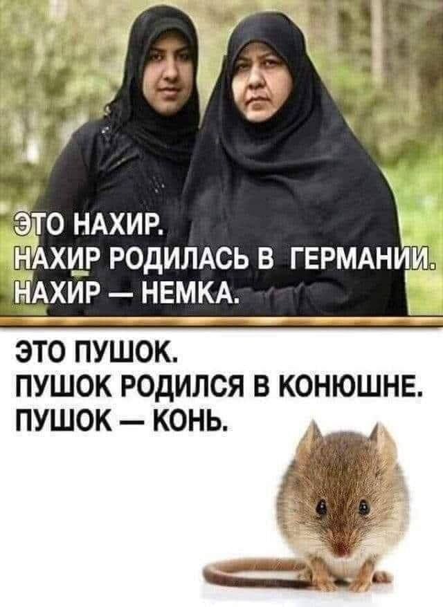 Момент нападения с ножом в Анси, где беженец - сириец атаковал детей в местном парке.