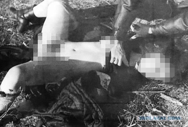 Серийный убийца — Сергей Фёдорович Ткач ("Павлоградский маньяк")