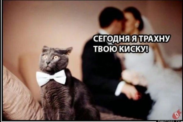 Тут мы друг друга поняли без слов
