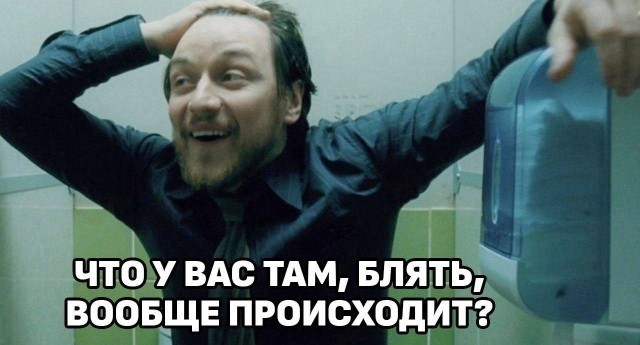 20-летнюю беременную девушку арестовали за секс с немецкой овчаркой