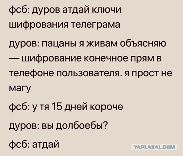 Дурова обвинили в 12 преступлениях