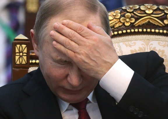 Путин удивился закупке Россией изделий из древесины за границей
