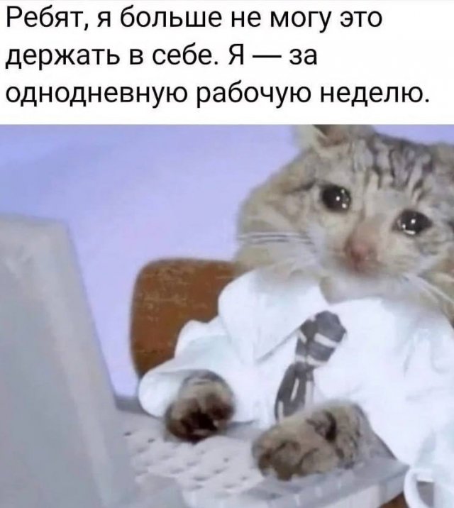 Завалялось тут случайно немного забавных картинок