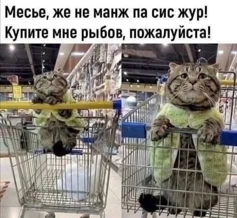 Весёлые картинки 2