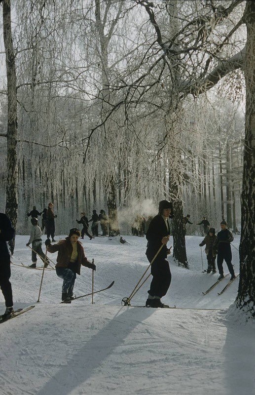 Лыжи в СССР