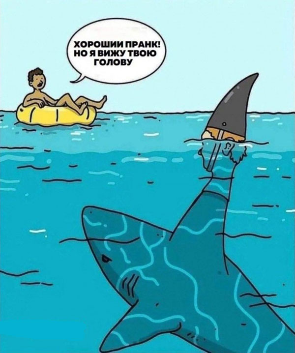 Баяны с распродажи