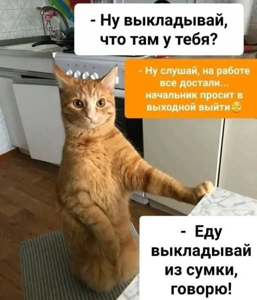 Завалялось тут случайно немного забавных картинок