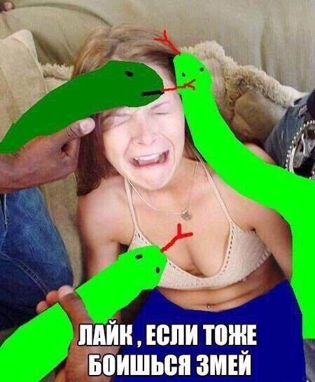 Пост картинок без морали