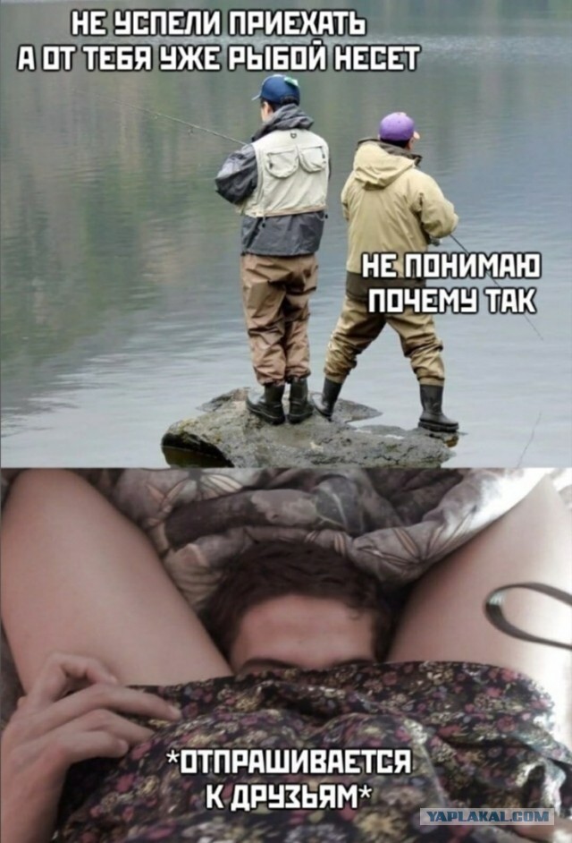 Картинки для деградации 16 (разной степени свежести)