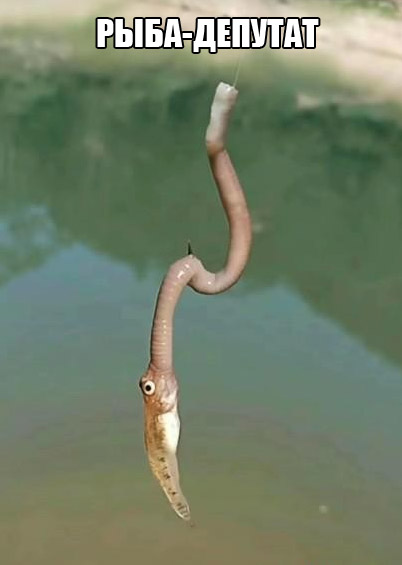 https://s00.yaplakal.com/pics/pics_original/3/6/0/20295063.jpg