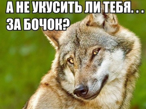 А ты спрятал свой бочок?