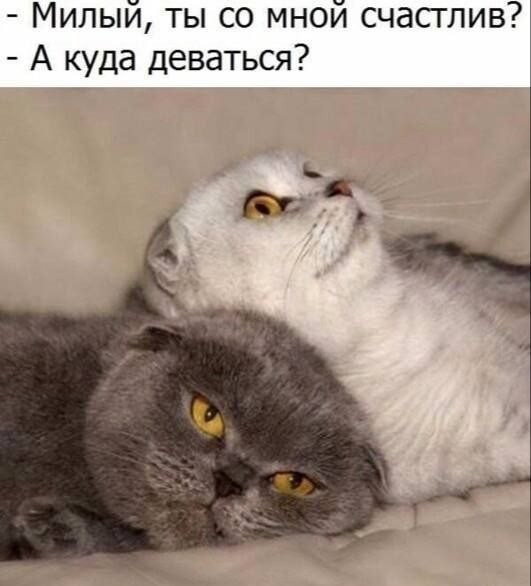 Прикольные и просто красивые картинки 25.11.2025