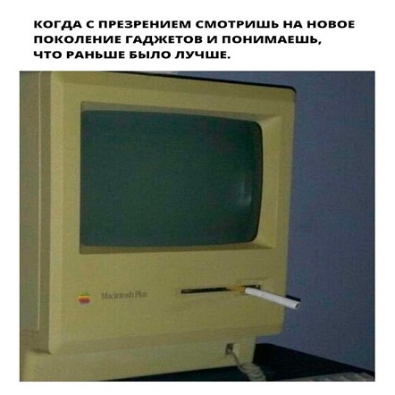 Розы гибнут на газонах...