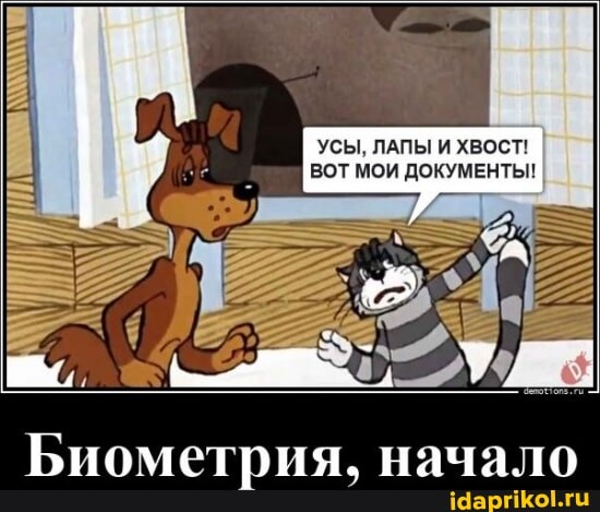 Англичанин-путешественник нашёл кота в Китае и увёз его домой