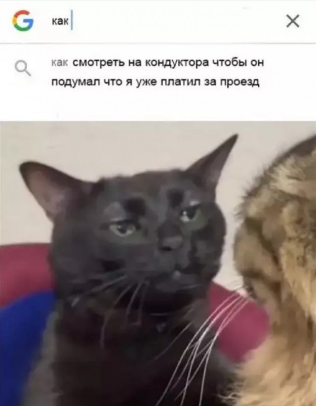 Картинки без критики
