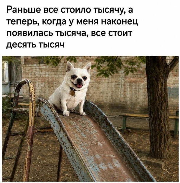 Картиночки, баянчики 15 августа