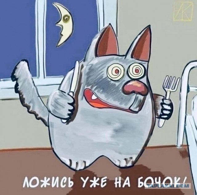 Как победить волка, если вдруг вы встретились с ним в лесу. Инструкция