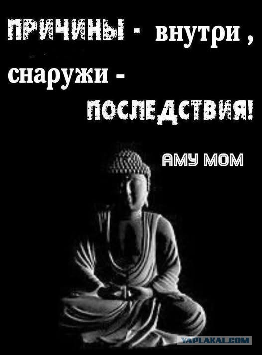 Забавные картинки, шутки из этих ваших интернетов