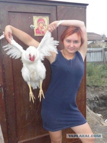Перлы из сетей