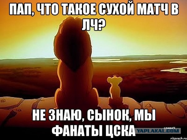 Спорт с улыбкой, интересности в сети