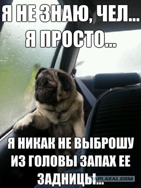 Подборка забавных и курьезных фотографий