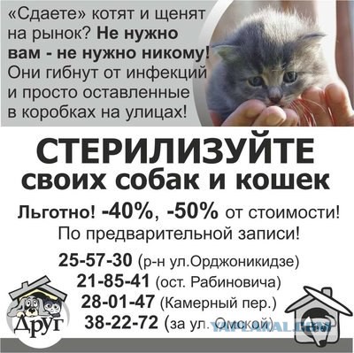 Завидую своему коту