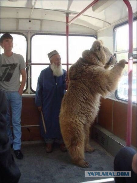 Наш ответ Америке!