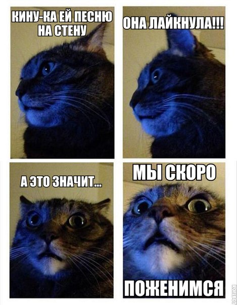 Небольшая подбока пикчей