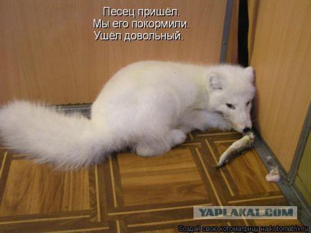 Чёрт, чёрт, чёрт!