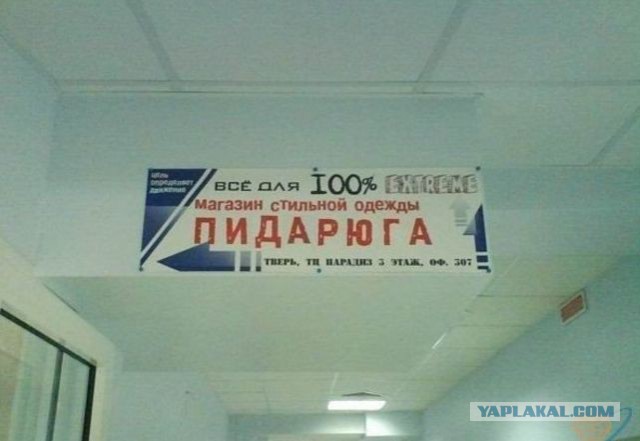 Картинки из интернетов
