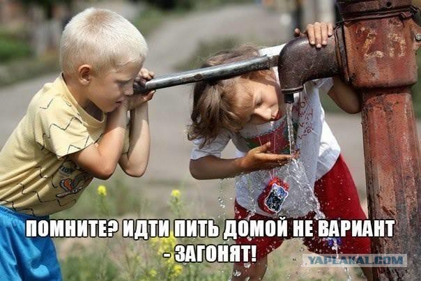 Смешные комментарии из социальных сетей 11.11.2014