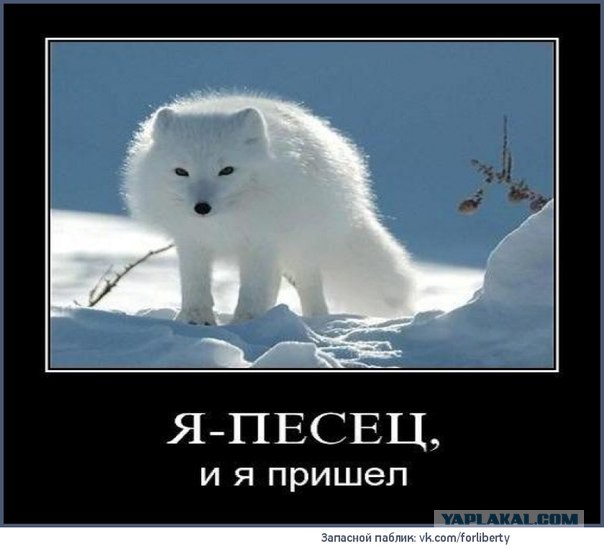 Великий Американский Тупик. Александр Роджерс