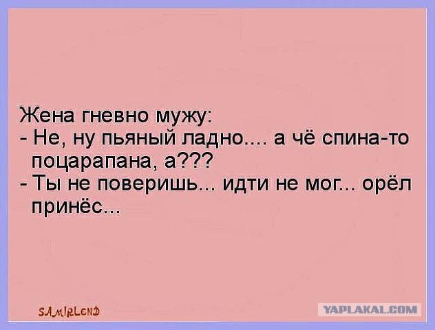 Веселая подборка