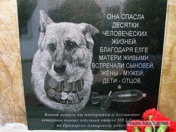 Больше, чем фото