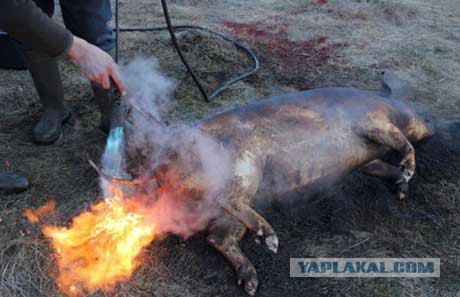 Минские переговоры нормандской четверки