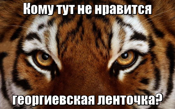 Политические карикатуры