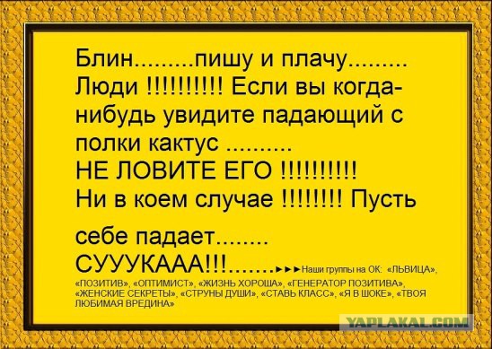 Никогда не делайте этого, слышите никогда