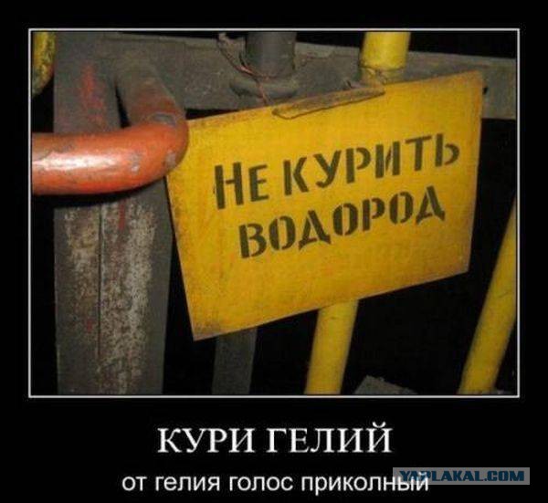 Весёлости в картинках