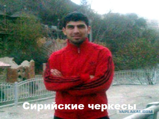 Началось и у нас мля...