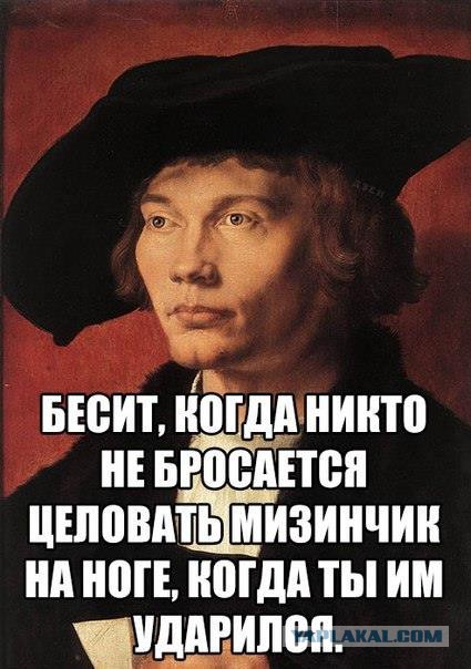 Прикольные фото и картинки
