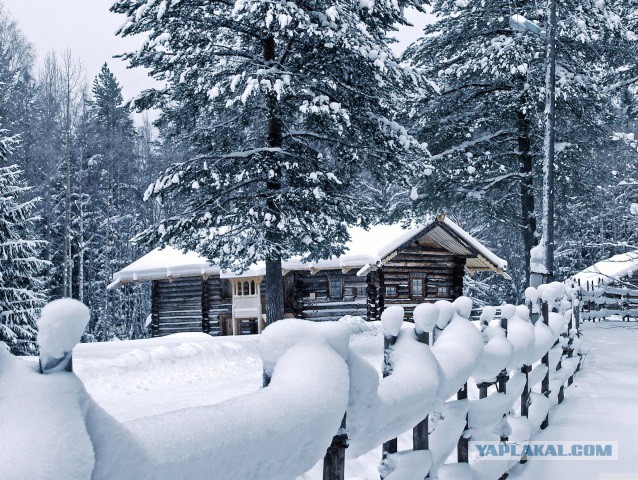 Снег В Перми