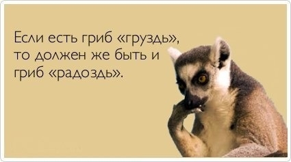 Понедельник день тяжёлый
