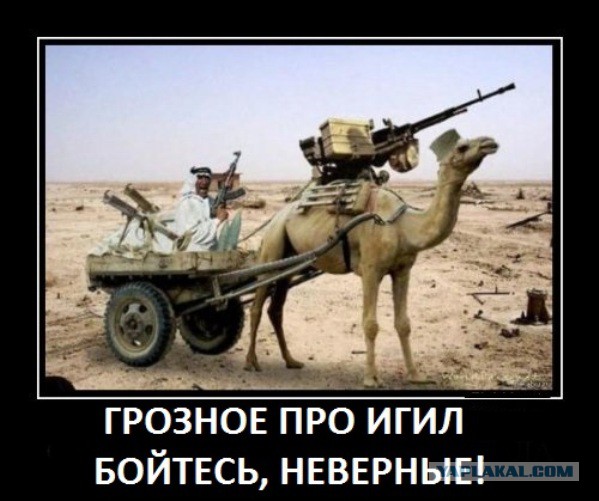 10 политических картинок часть 16